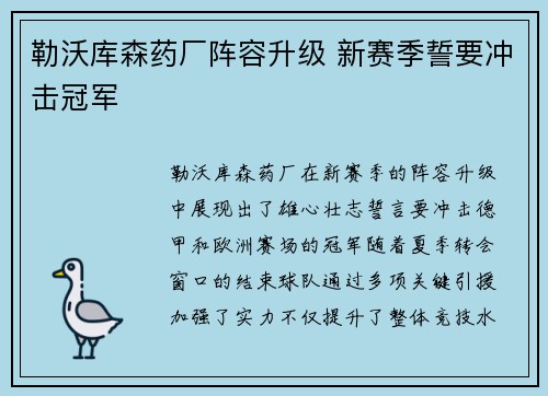 勒沃库森药厂阵容升级 新赛季誓要冲击冠军